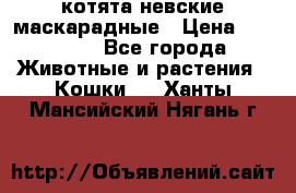 котята невские маскарадные › Цена ­ 18 000 - Все города Животные и растения » Кошки   . Ханты-Мансийский,Нягань г.